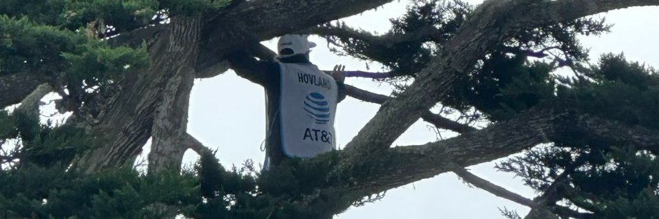 viktorious hovland's banner