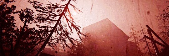 𓍼ོ's banner