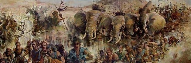 إبرهة🐘's banner
