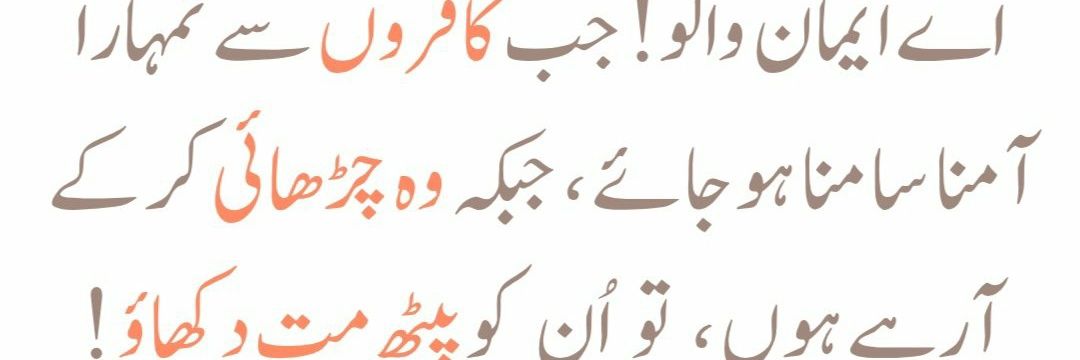 𝐀𝐡𝐦𝐚𝐝 𝐚𝐥𝐢's banner