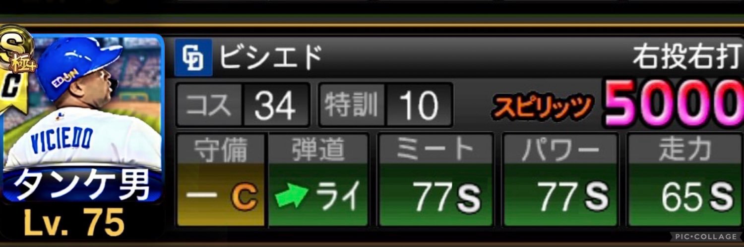タンケ男🐲中日純正's banner