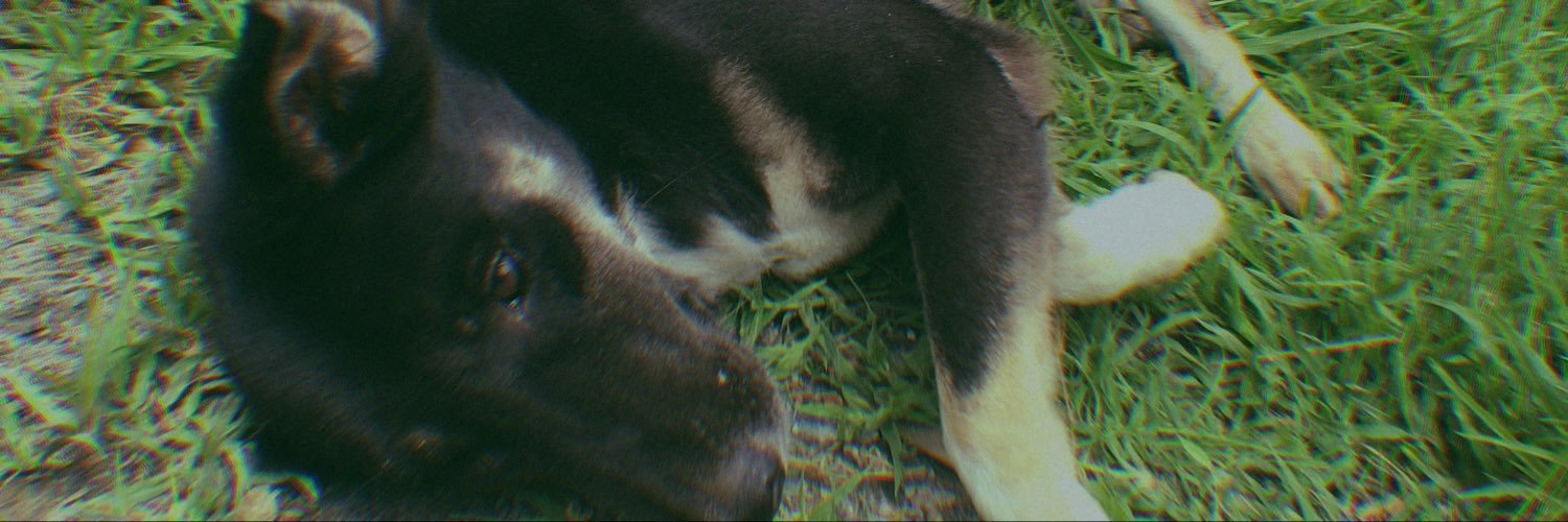 พิมัย's banner