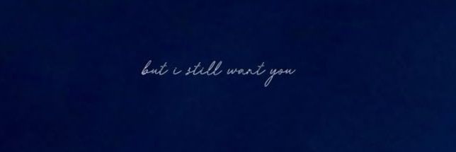 ash⁷🍂's banner