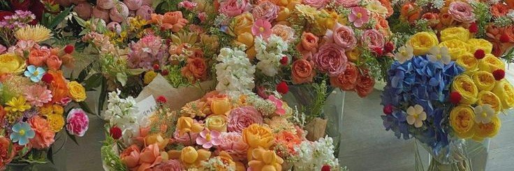 ,'s banner