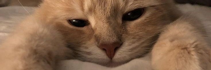 Leia_Simmons's banner