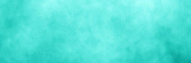 Lana Bloom's banner