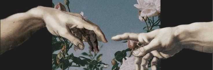 𝐉𝐢𝐦𝐦𝐲 🏳️‍⚧️'s banner