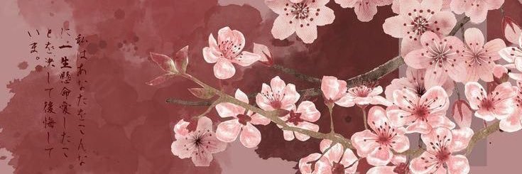simo 🪭's banner
