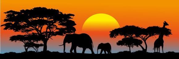 Wild Planet✨'s banner