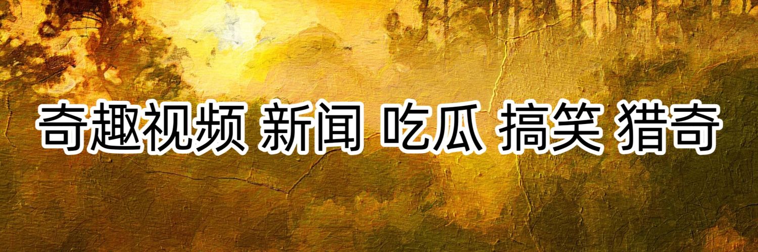 吃瓜猎奇's banner