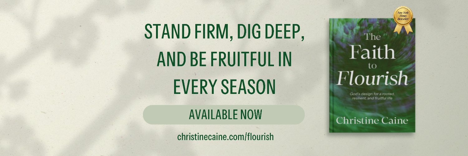 Christine Caine's banner