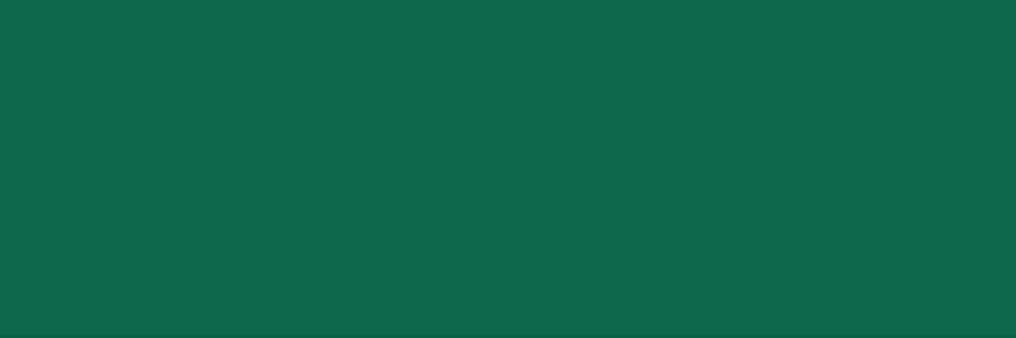 بيت حصير's banner