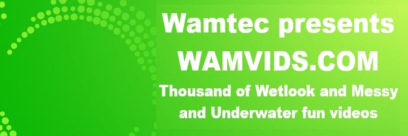 Wamtec.com's banner