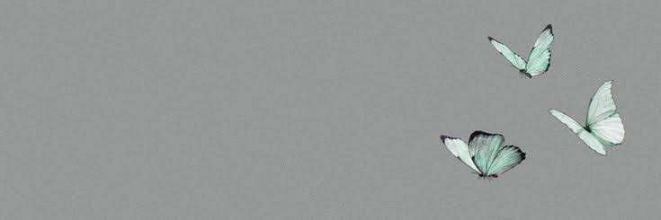 Aesthetics 🌪️'s banner