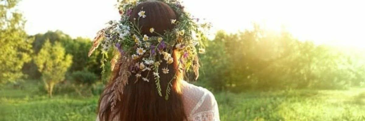 Лена Вујовић's banner