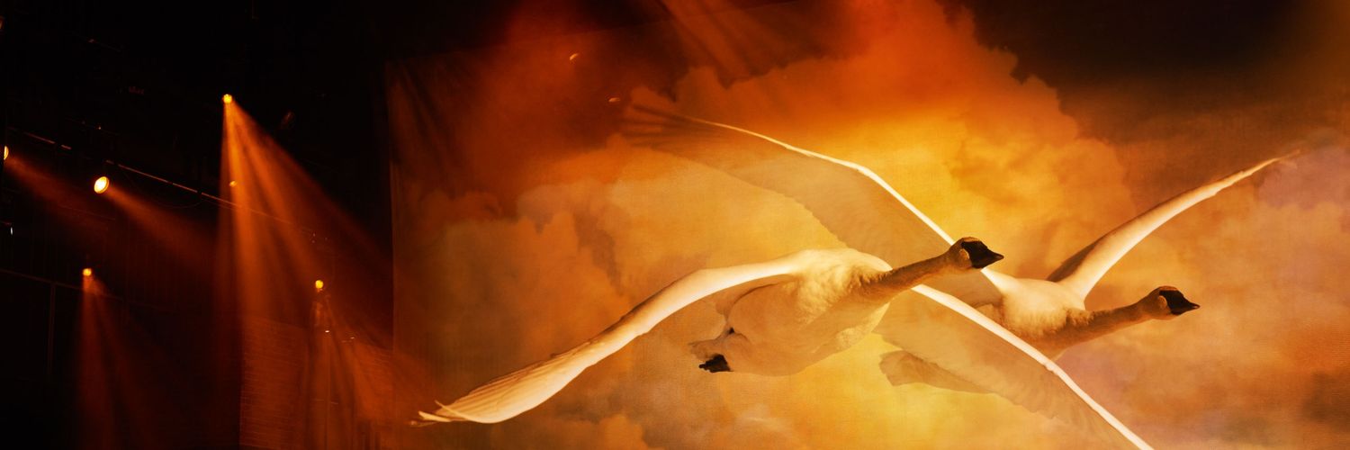 Arquivo Kate Bush's banner