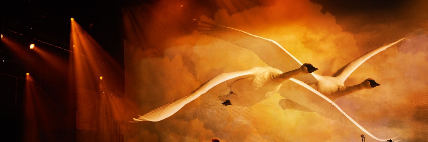 Arquivo Kate Bush's banner