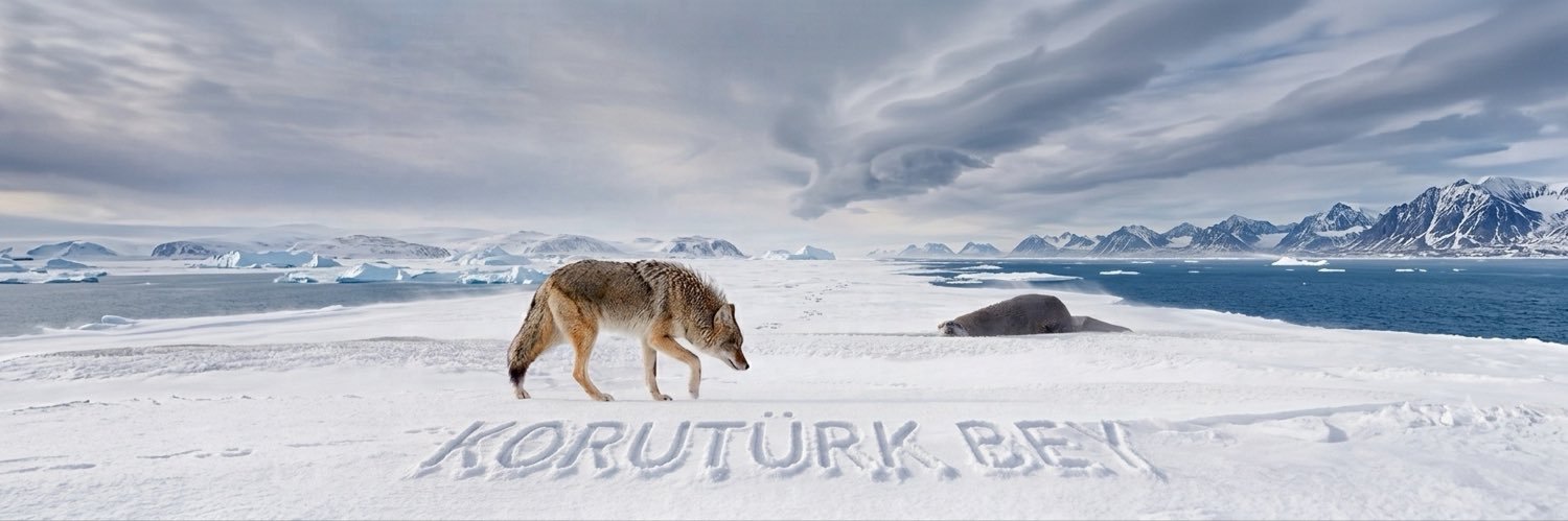 Korutürk Bey's banner