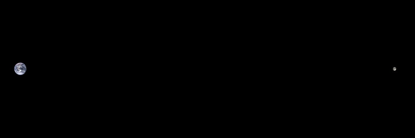 borrissey's banner