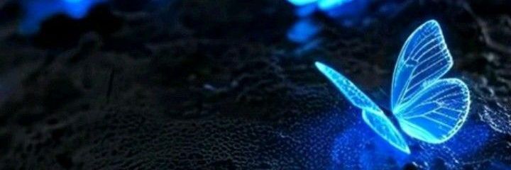 ᴄɪ ᴠɪ's banner