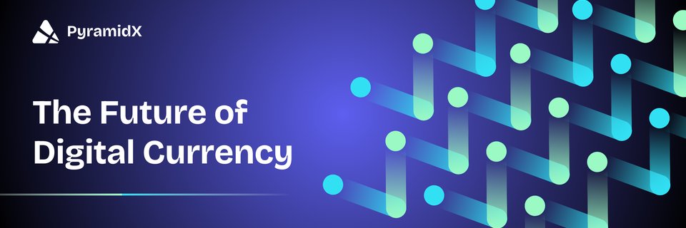 pX Network's banner