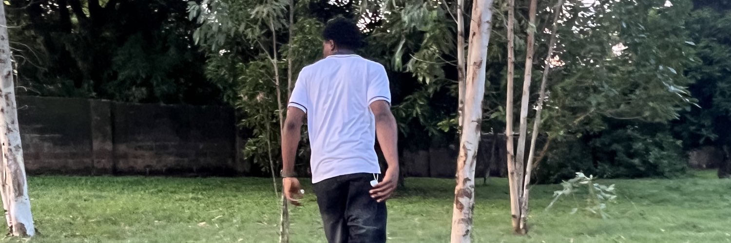 P E T E R.🦖's banner