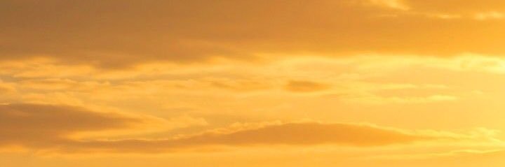 Nisha🥂's banner