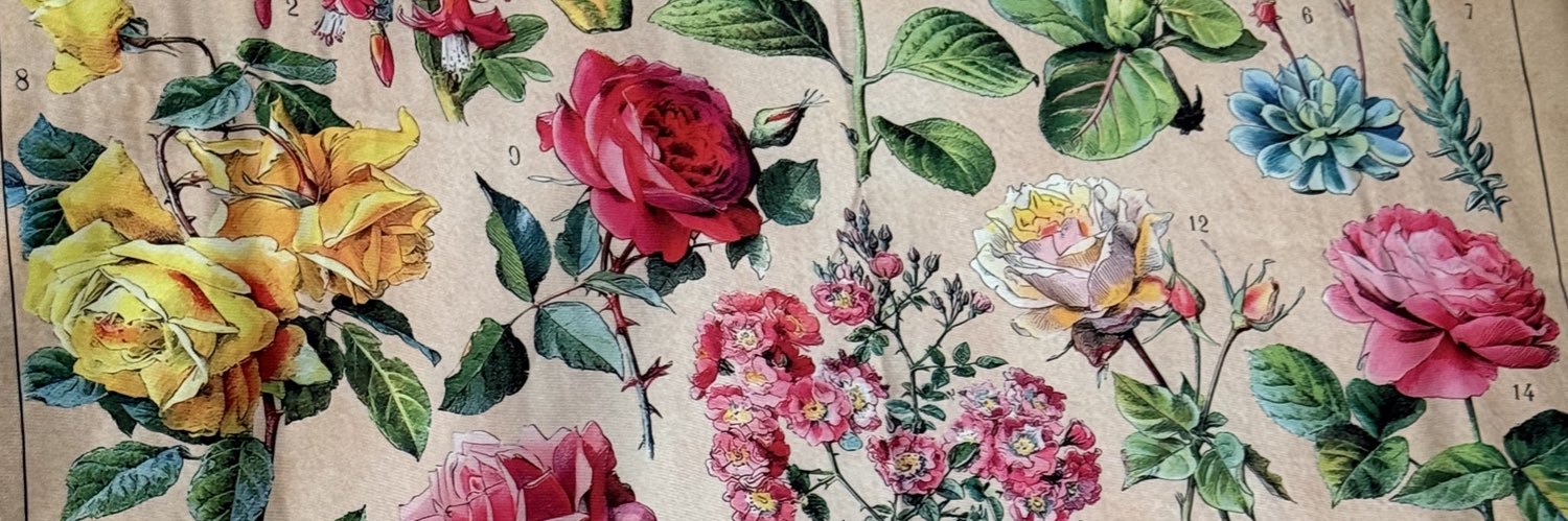 Kay's banner