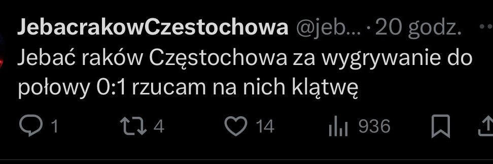 JebacRakowCzestochowa's banner