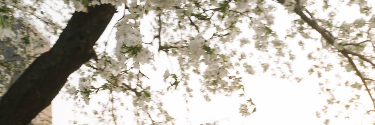 みかみかちゃん's banner