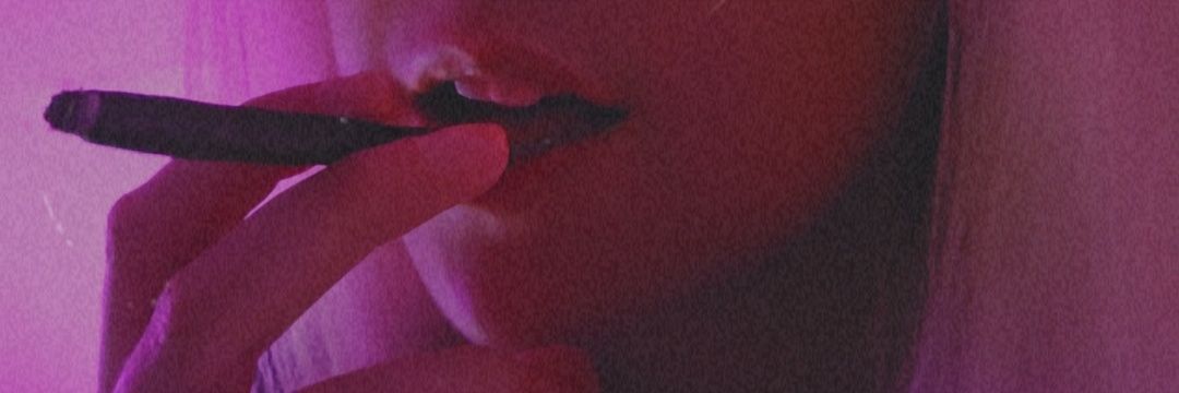 🐰 🎀 𝒷𝓁𝓊𝓃𝓉 𝒷𝓊𝓃𝓃𝓎 🎀 🐰's banner