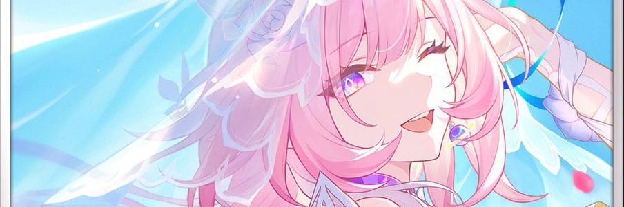 SS's banner