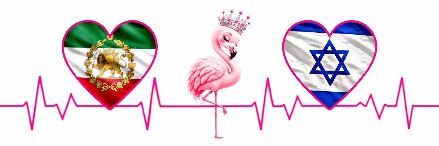 🦩فلامینگو's banner