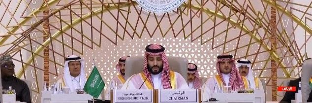 فضل الفضل's banner