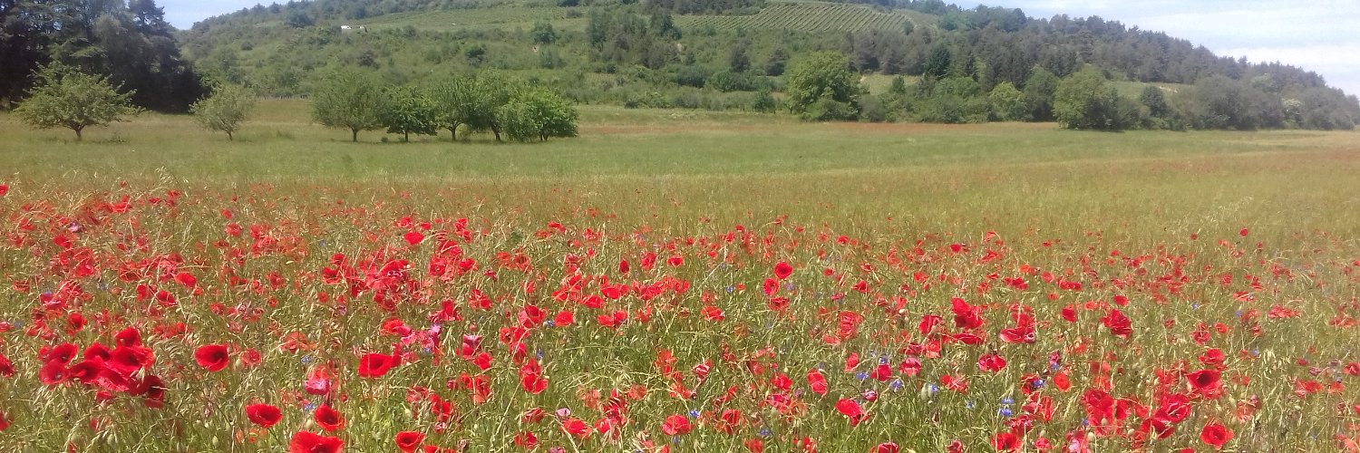 🇫🇷Chouet Florence ✝ 🇫🇷🥝🍇🍀🌼🌷🌞🐶🐱🇫🇷's banner