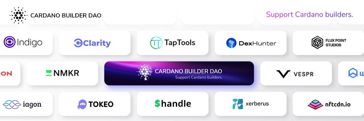 Cardano Builder DAO's banner