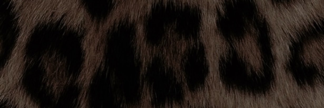 Arina's banner
