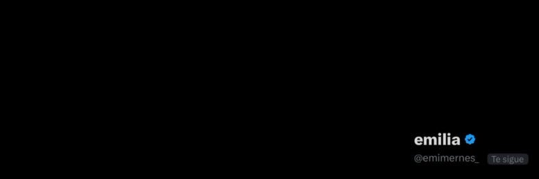 emmi's banner