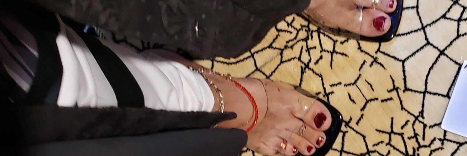 خدم وكلب وكلوتا الهوانم 🐖 🐷 🐽 🐗's banner
