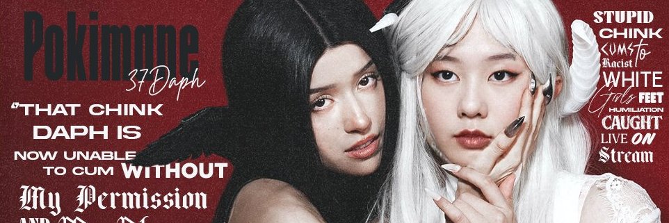 ᴘᴏᴋɪ's banner