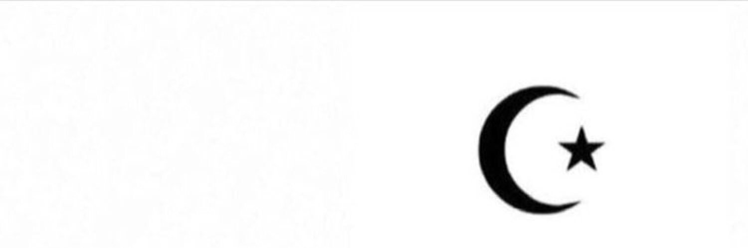 N's banner