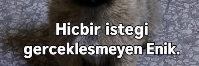 Ali Gurur's banner