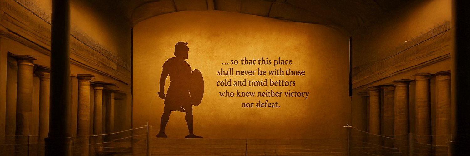 In the Arena MMA's banner