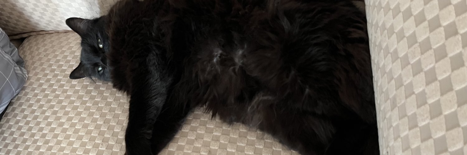 🐾 Silly Dog 🦴's banner