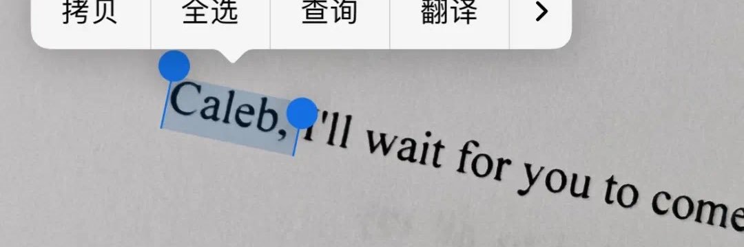 金枪鱼🍎想和夏以昼私奔's banner