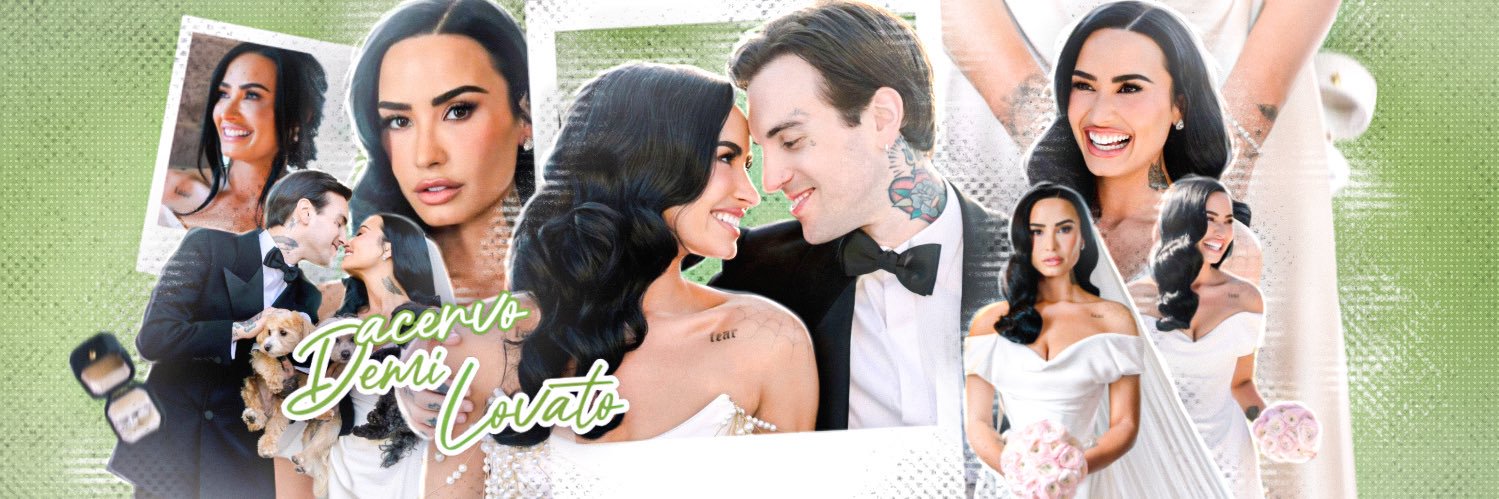 acervo demi lovato's banner