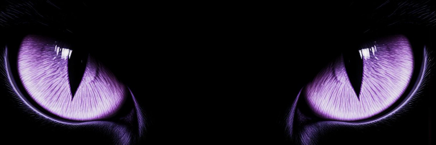 NullTrace's banner