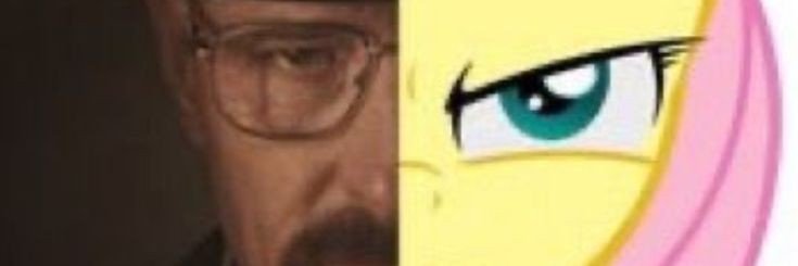 Liz's banner