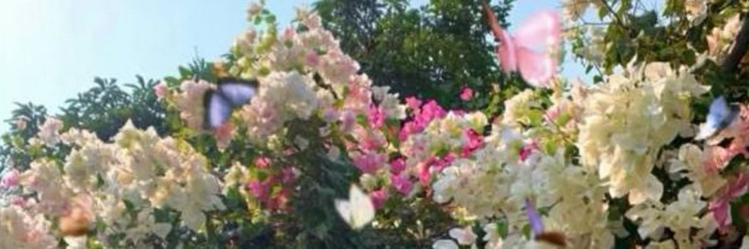 老师的日常vlog's banner