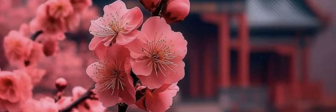 Nong Mei👅 (สาวสองนะ)'s banner